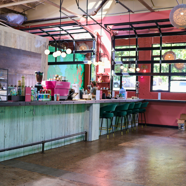 Plant Bar in Asheville