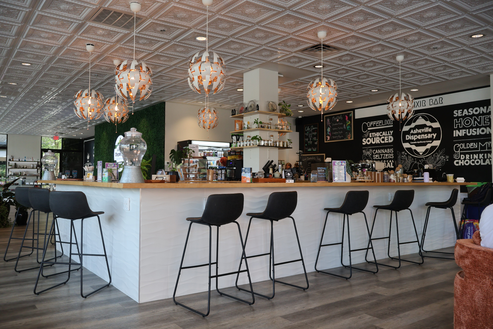 Plant Bar in Chattanooga
